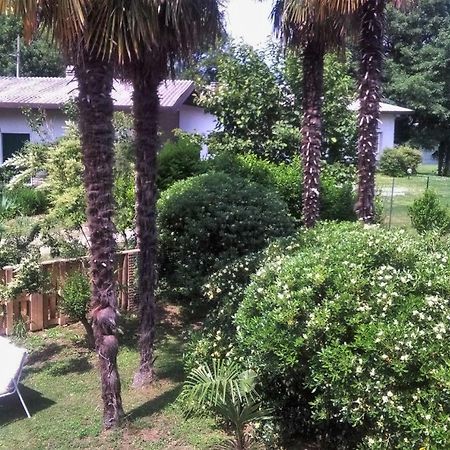 Residenza Agapanthus Villa Monvalle ภายนอก รูปภาพ
